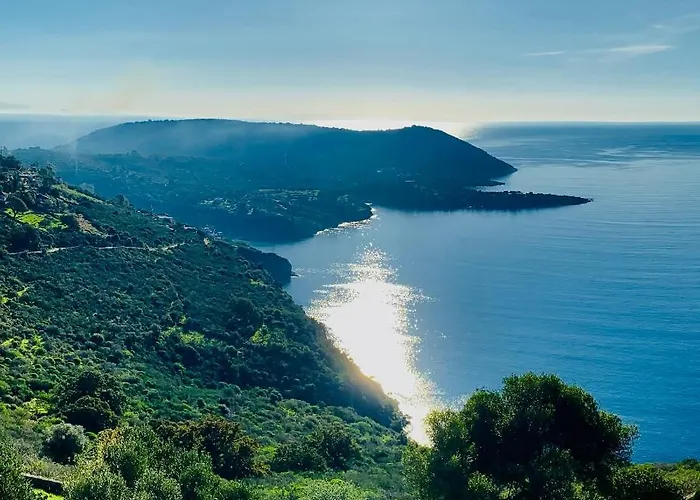 Joyanna Pool, Sea View & Olive Grove Serenity In Mani *